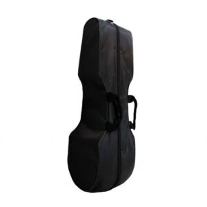 Hardcase for Kamancheh